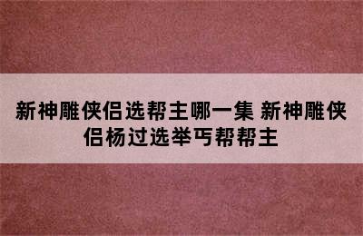 新神雕侠侣选帮主哪一集 新神雕侠侣杨过选举丐帮帮主